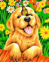 Dog and Butterfly