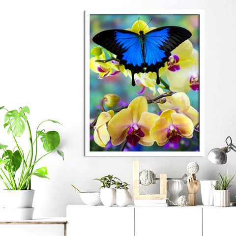 Butterfly And Orchid