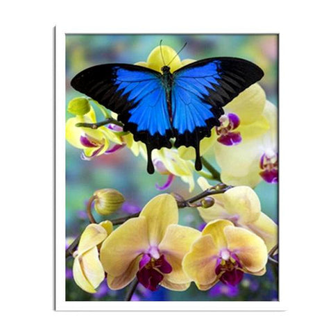 Butterfly And Orchid