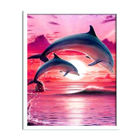 Dolphins In The Sunset